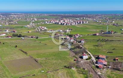 İmar sınırında tarla