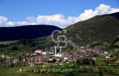 KARAMÜRSEL AKÇAT'TA İSTANBUL'A 1 SAAT MESAFEDE YEPYENİ BİR YAŞAM