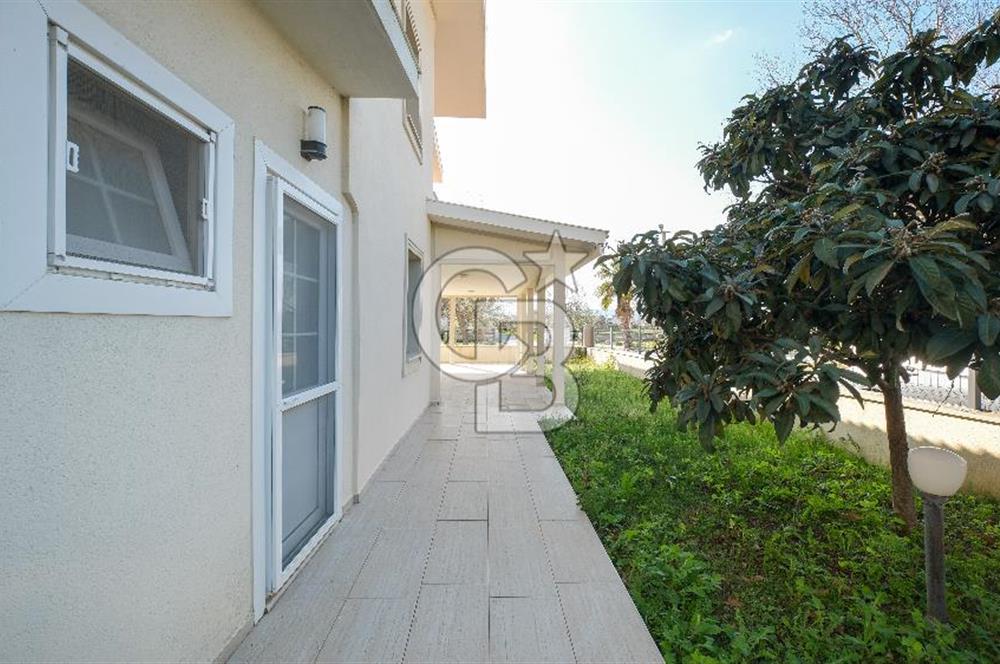 Urla Kuşçular Molakentte Köşe 3+1 Dubleks 500 m² Favorilerime Ekle Yazdır Facebook ile paylaş