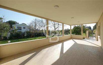 Urla Kuşçular Molakentte Köşe 3+1 Dubleks 500 m² Favorilerime Ekle Yazdır Facebook ile paylaş