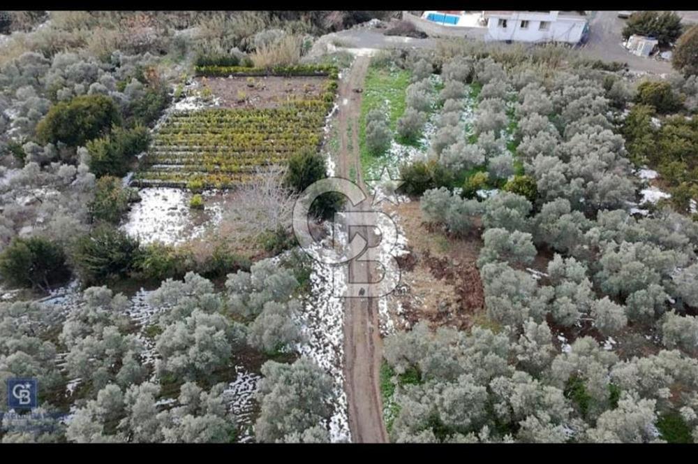 SAMANDAĞ YAYLICA MAHALLE'SİNDE DEĞERLEN BÖLGEDE YATIRIMLIK ARSA