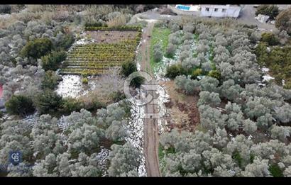 SAMANDAĞ YAYLICA MAHALLE'SİNDE DEĞERLEN BÖLGEDE YATIRIMLIK ARSA