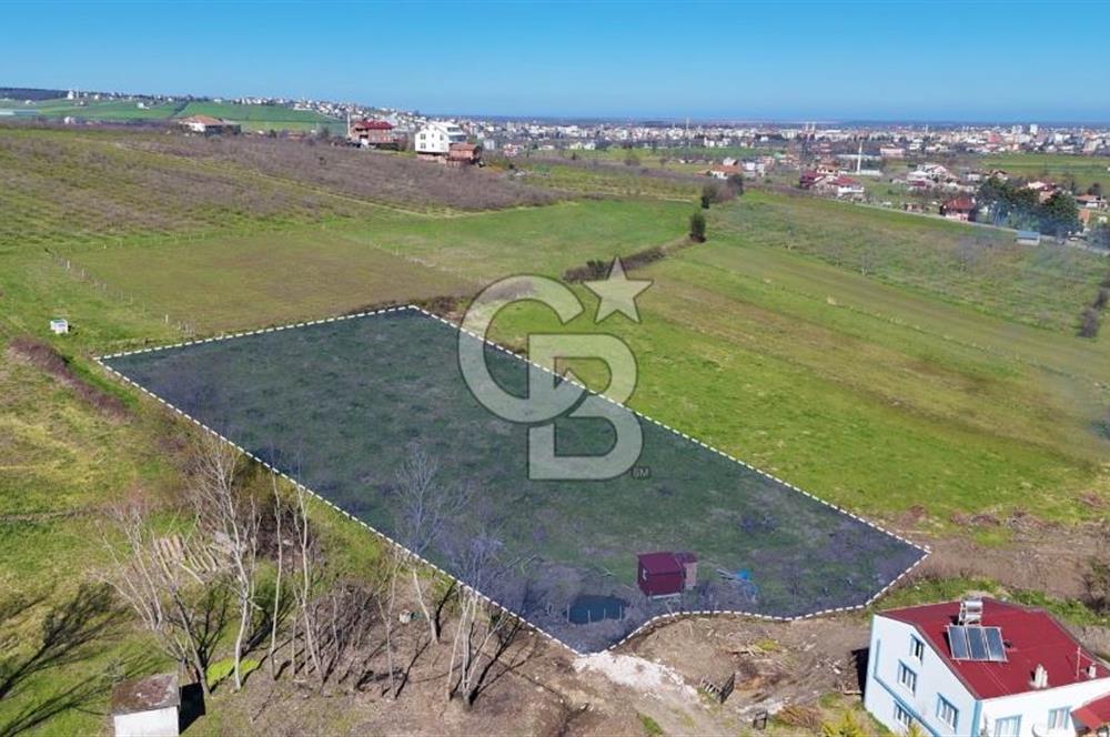 İmar sınırında tarla