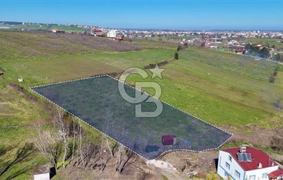 İmar sınırında tarla