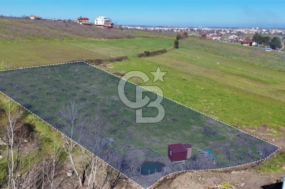 İmar sınırında tarla