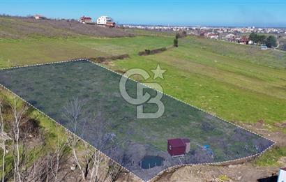 İmar sınırında tarla