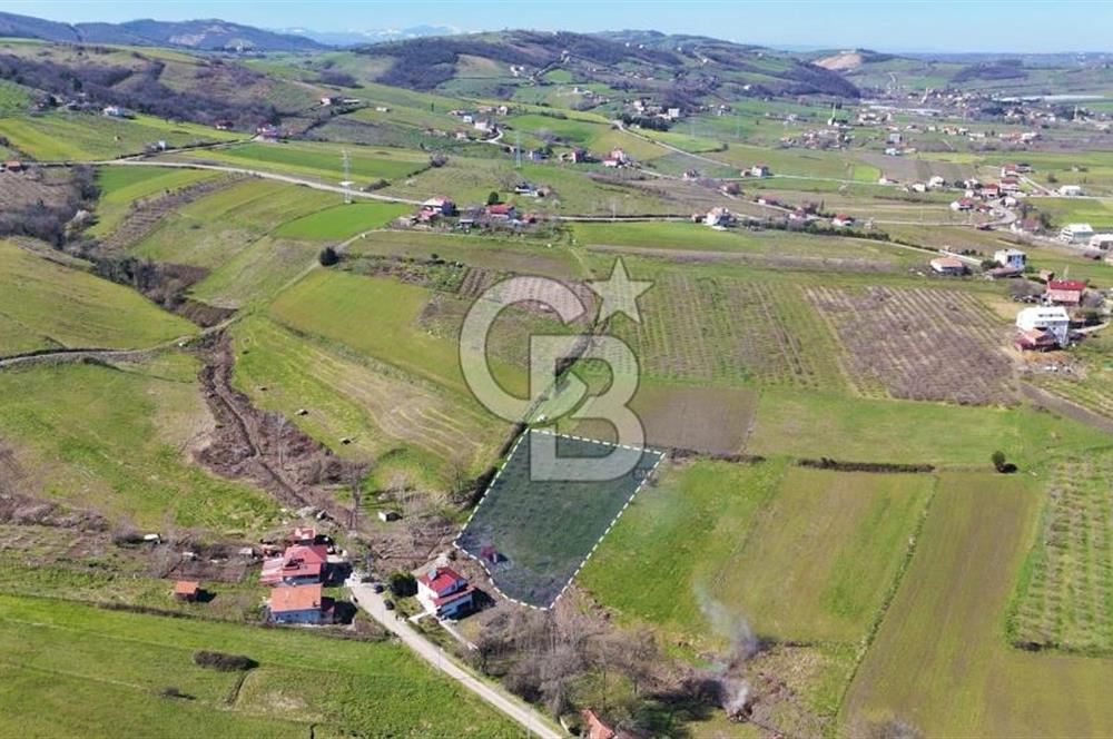 İmar sınırında tarla