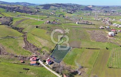 İmar sınırında tarla