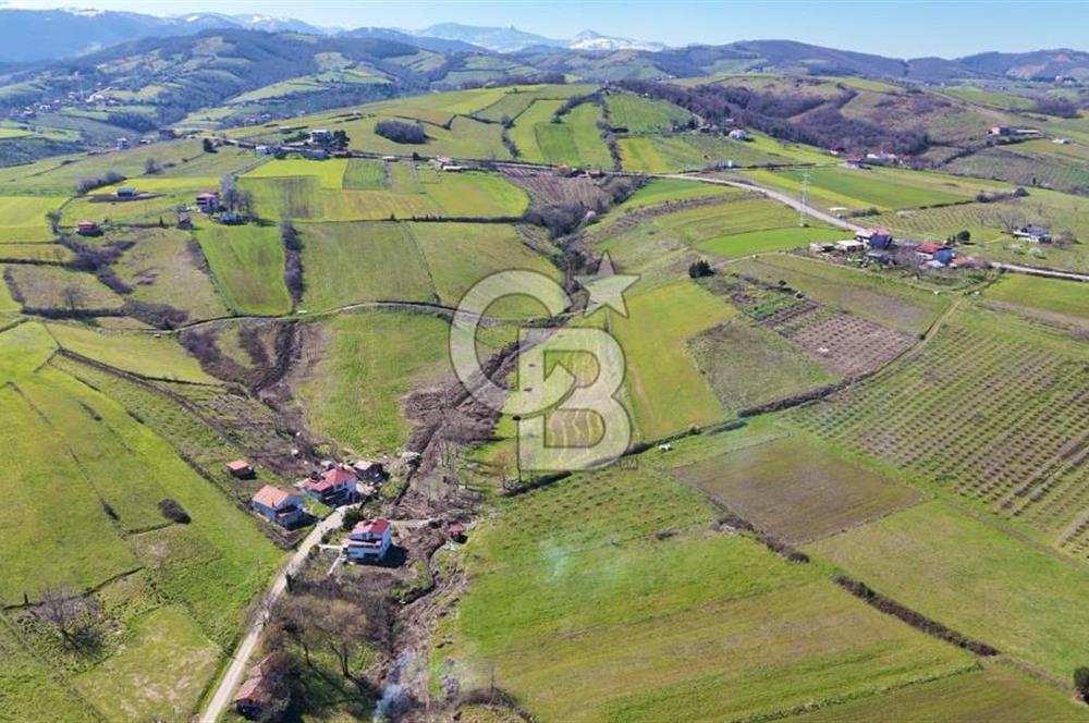 İmar sınırında tarla