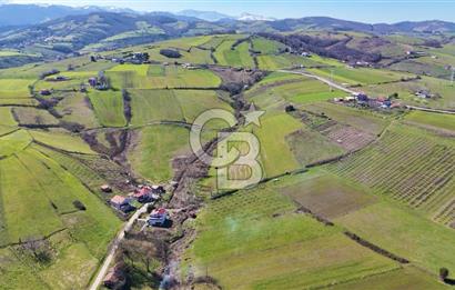 İmar sınırında tarla