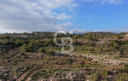 544 m² Köşe Parsel + 250 m² Tarla Toplam 794 m² Fırsat!