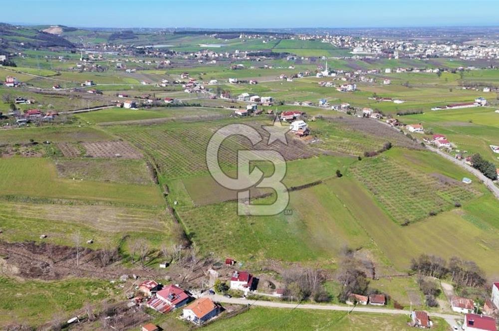 İmar sınırında tarla