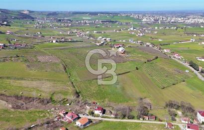 İmar sınırında tarla