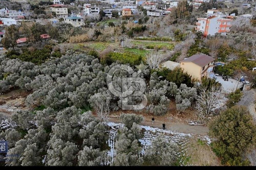 SAMANDAĞ YAYLICA MAHALLE'SİNDE DEĞERLEN BÖLGEDE YATIRIMLIK ARSA