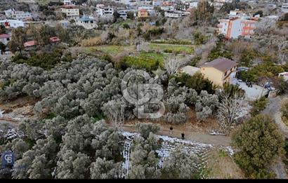 SAMANDAĞ YAYLICA MAHALLE'SİNDE DEĞERLEN BÖLGEDE YATIRIMLIK ARSA