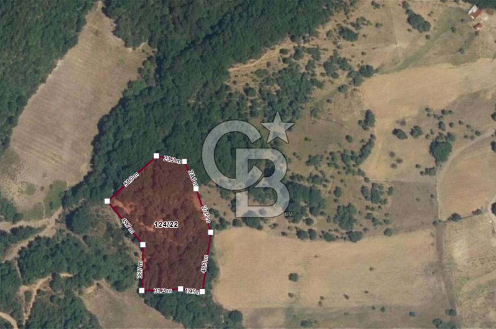 KARAMÜRSEL AKÇAT'TA İSTANBUL'A 1 SAAT MESAFEDE YEPYENİ BİR YAŞAM