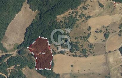 KARAMÜRSEL AKÇAT'TA İSTANBUL'A 1 SAAT MESAFEDE YEPYENİ BİR YAŞAM