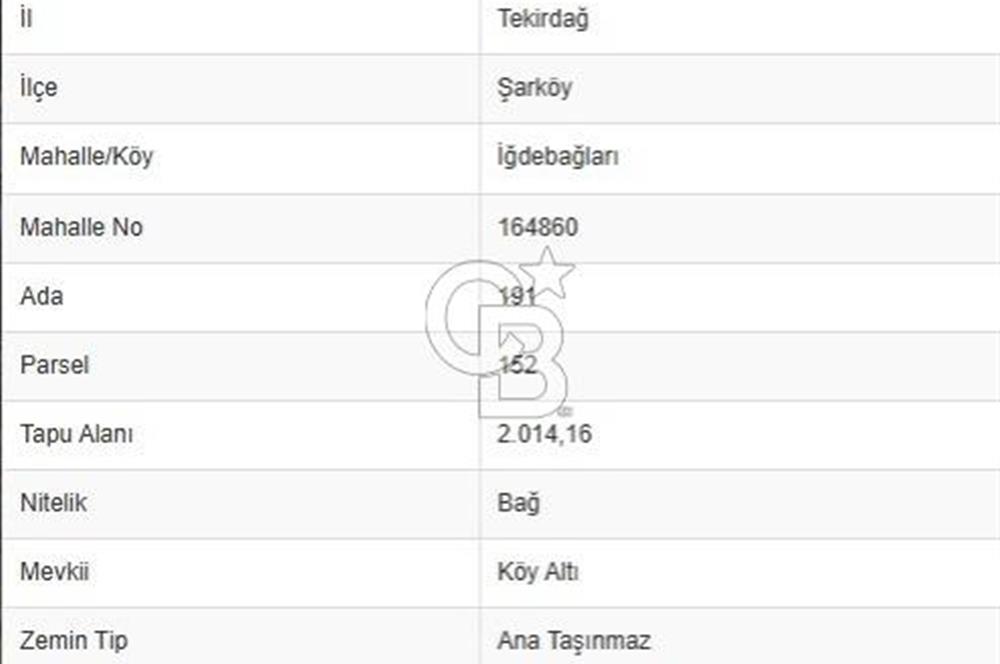ŞARKÖY İĞDEBAĞLARI ANYOLA CEPHELİ BAKIMLI ZEYTİNLİK