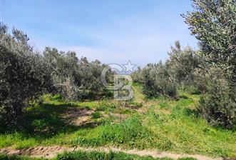 İzmir Çanakkale Anayoluna Sıfır I Elektrik ve Suyu Olan Satılık Arazi - 1 - 338613