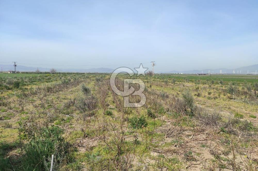 İzmir Çanakkale Anayoluna Sıfır I Elektrik ve Suyu Olan Satılık Arazi