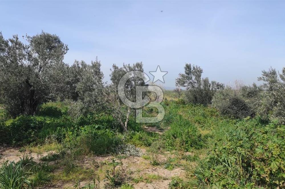 İzmir Çanakkale Anayoluna Sıfır I Elektrik ve Suyu Olan Satılık Arazi