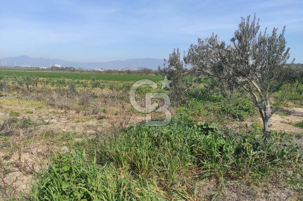 İzmir Çanakkale Anayoluna Sıfır I Elektrik ve Suyu Olan Satılık Arazi