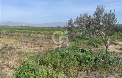 İzmir Çanakkale Anayoluna Sıfır I Elektrik ve Suyu Olan Satılık Arazi