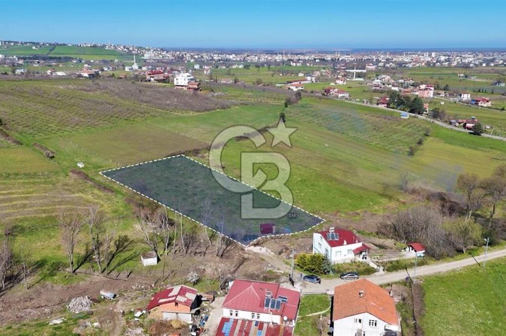 İmar sınırında tarla