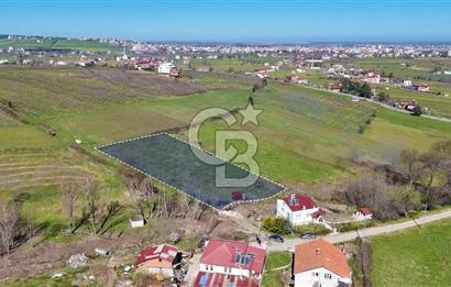 İmar sınırında tarla