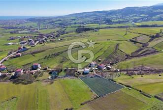 İmar sınırında tarla - 4 - 338601