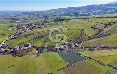 İmar sınırında tarla