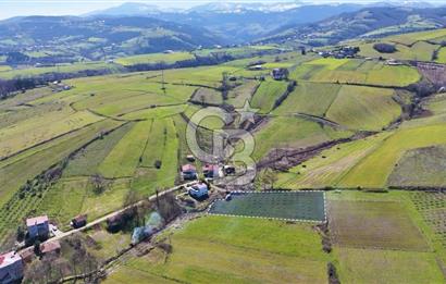 İmar sınırında tarla