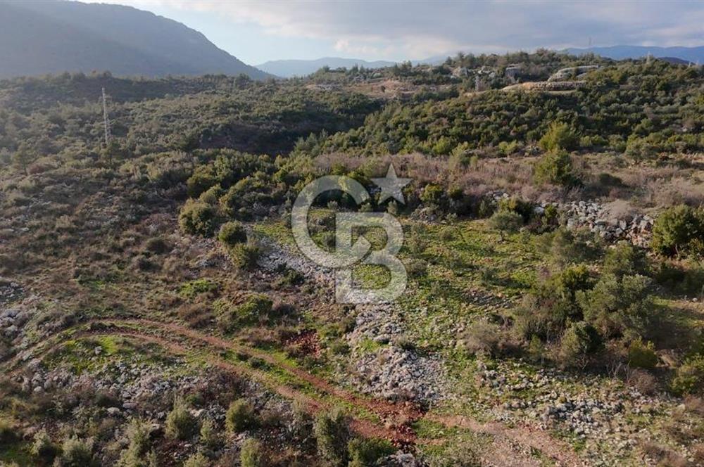 544 m² Köşe Parsel + 250 m² Tarla Toplam 794 m² Fırsat!