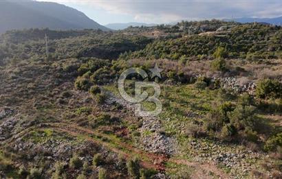 544 m² Köşe Parsel + 250 m² Tarla Toplam 794 m² Fırsat!