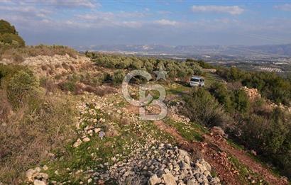 544 m² Köşe Parsel + 250 m² Tarla Toplam 794 m² Fırsat!