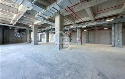 CB ONKO'dan Deliklikaya'da Kiralık Fabrika Katları