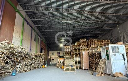 ESENYURT KIRAÇTA KİRALIK 8.000M2 DEPO_8 RAMPA