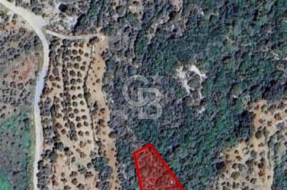 2.406 m² TARLA GELECEĞE YATIRIM FIRSATI