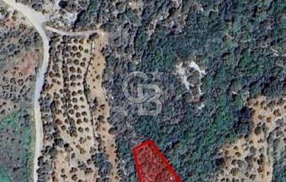 2.406 m² TARLA GELECEĞE YATIRIM FIRSATI