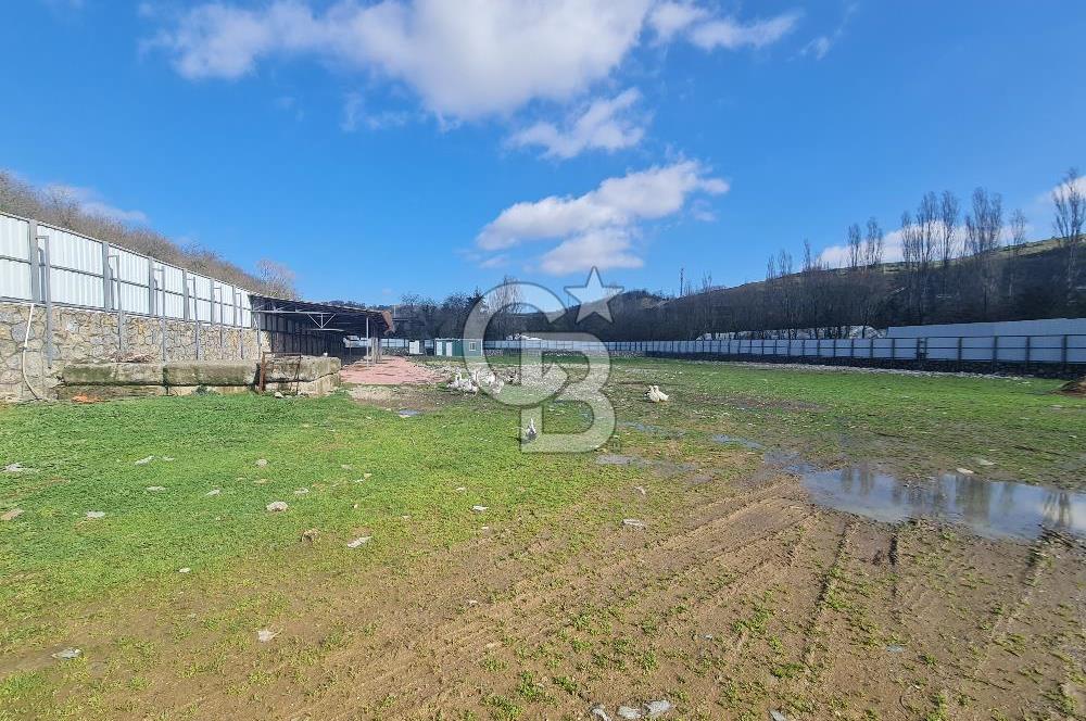 Beykoz ishaklı'da kiralık arsa