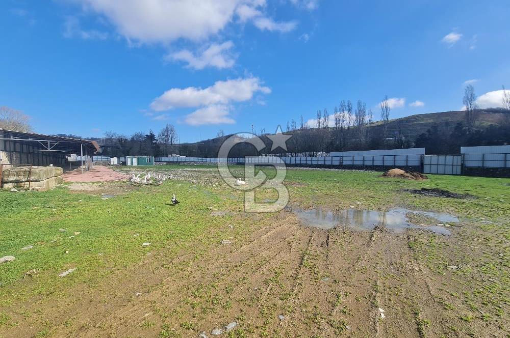 Beykoz ishaklı'da kiralık arsa