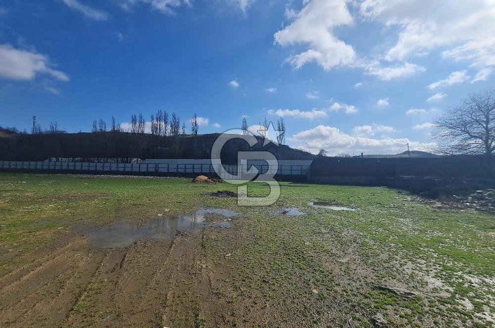 Beykoz ishaklı'da kiralık arsa