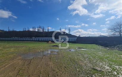 Beykoz ishaklı'da kiralık arsa