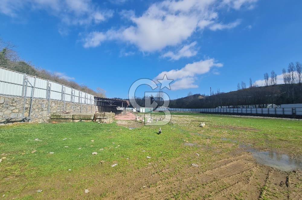 Beykoz ishaklı'da kiralık arsa