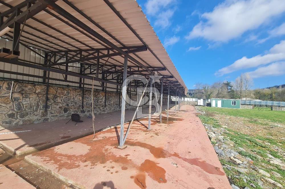 Beykoz ishaklı'da kiralık arsa