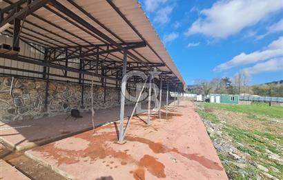 Beykoz ishaklı'da kiralık arsa