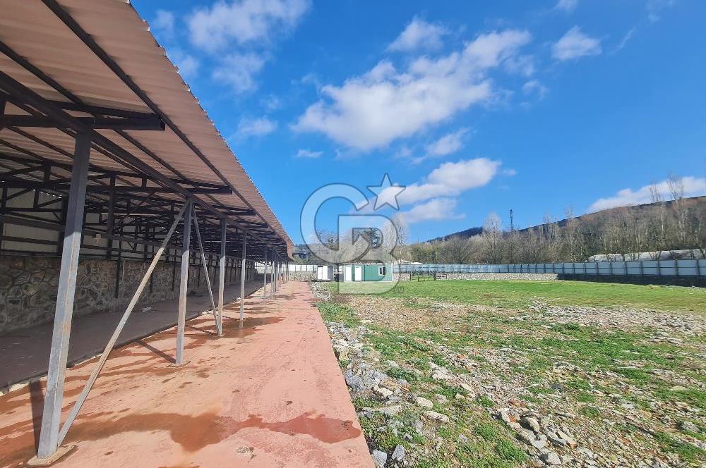 Beykoz ishaklı'da kiralık arsa