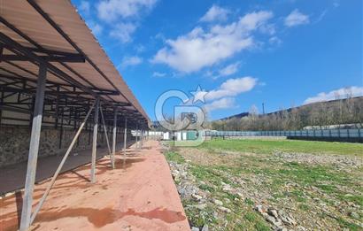 Beykoz ishaklı'da kiralık arsa