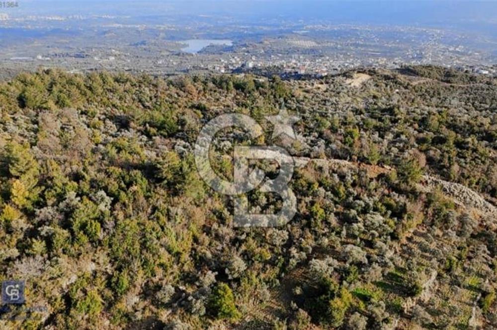 2.406 m² TARLA GELECEĞE YATIRIM FIRSATI