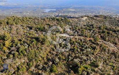 2.406 m² TARLA GELECEĞE YATIRIM FIRSATI